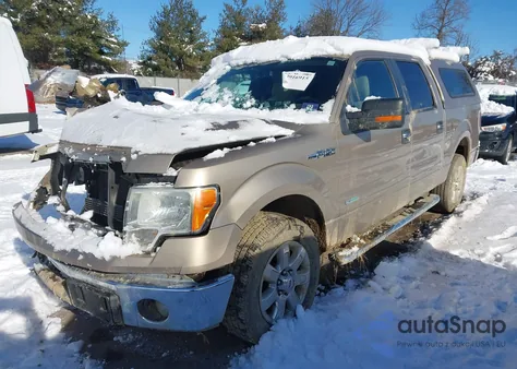 2013 Ford F-150 Xlt z USA, uszkodzony, nr VIN 1FTFW1CT2DFD29967